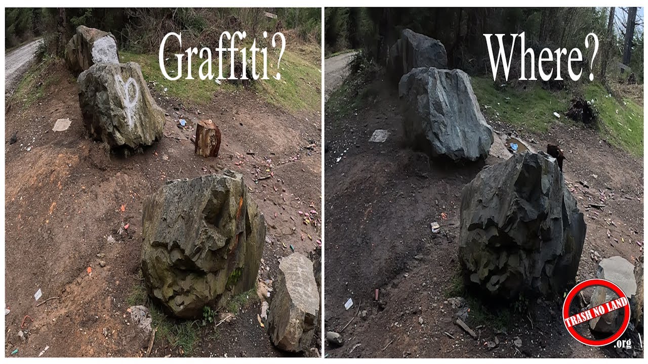 Graffiti In The Forest Removal