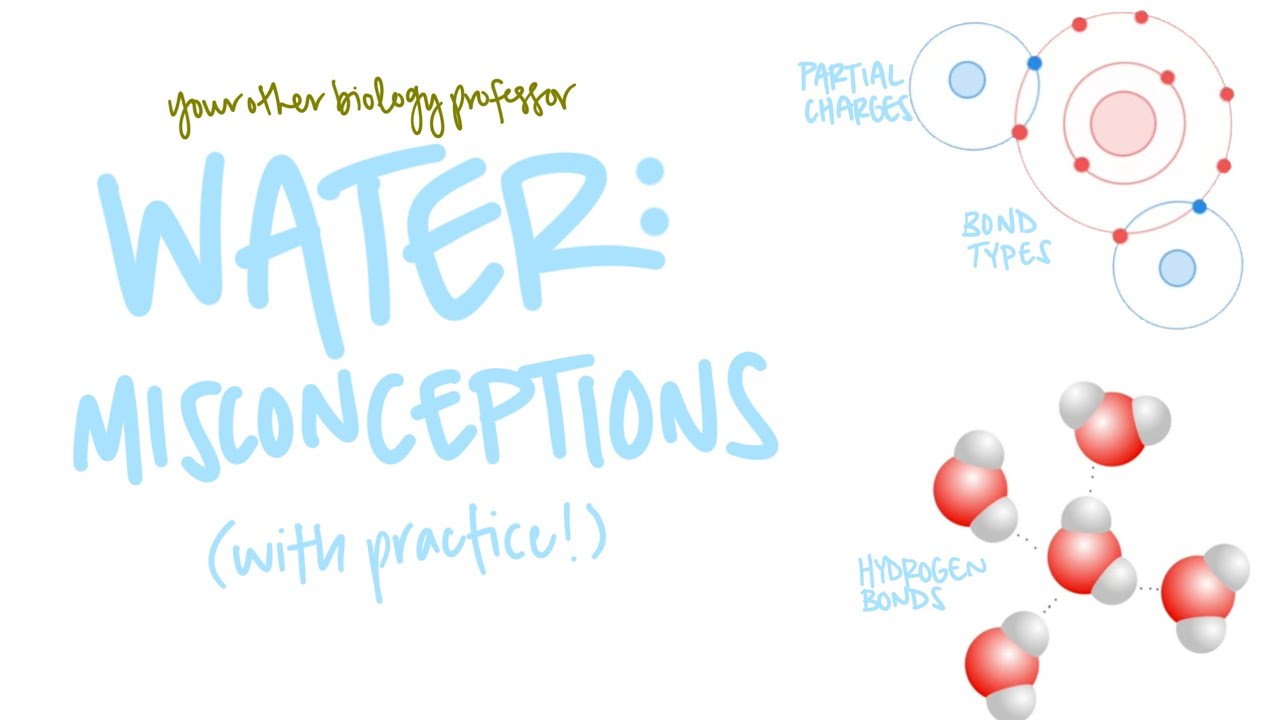 3 Things Students Get Wrong About Water Molecules - with Practice!