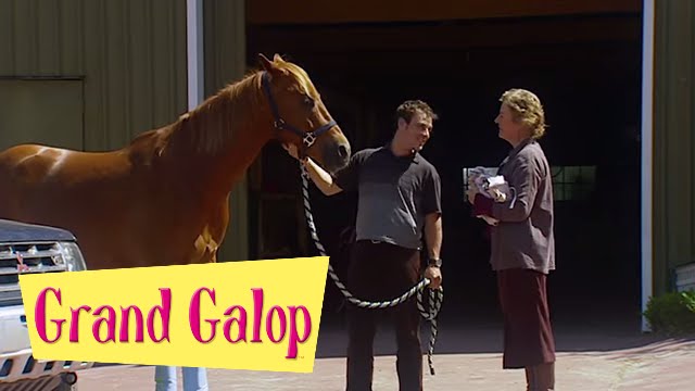 Grand Galop 223 - Les jeux sont faits (Partie 2) | HD | Épisode Complet