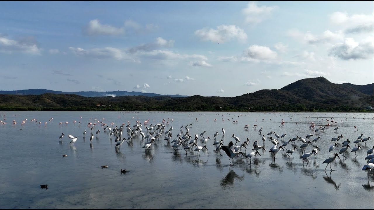 Humedal Laguna Unare (Wetland Unare Lagoon)