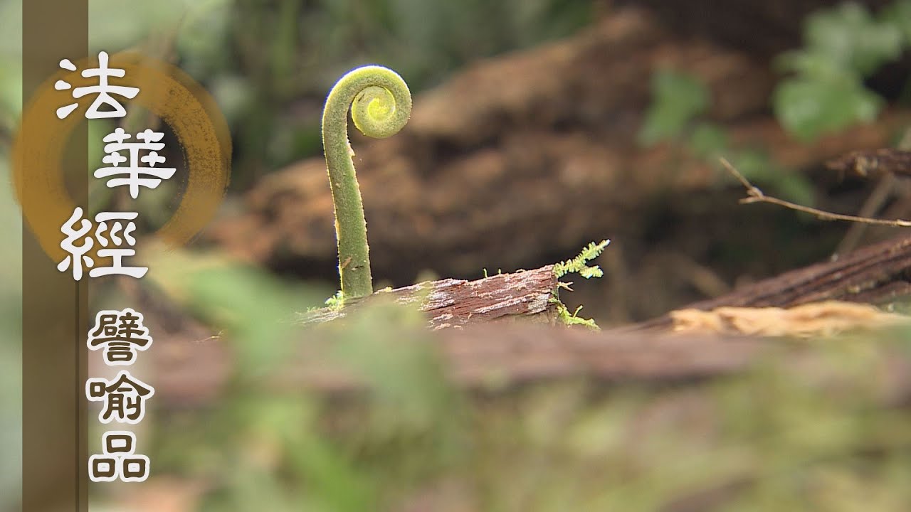 【靜思妙蓮華】法華經譬喻品 - 勤修且隨喜 - 20201021 第518集