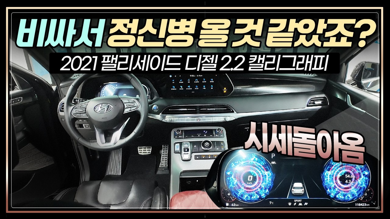 21년식 팰리세이드, 사고 싶어도 못사서 왔던 정신병 해결해 드립니다, 캘리그래피, 1인 신조 파워 보여드림, 디젤 #팰리세이드중고차 #팰리세이드7인승 #팰리세이드중고