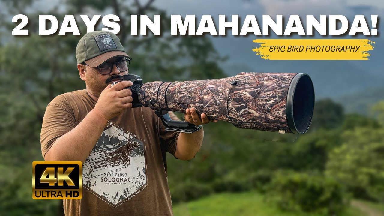 * Birding in Mahananda Wildlife Sanctuary | 2 Days of Bird Photography Adventure!”