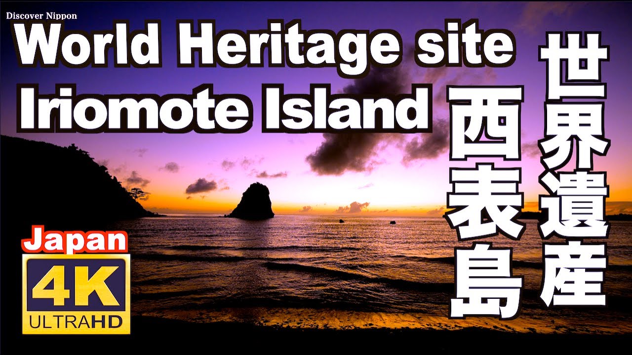 4K 西表島 世界自然遺産 Iriomote Island カヌー  観光 旅行 沖縄 海 Okinawa jungle Natural sound 夕景 秘境 八重山諸島 マングローブ 風景