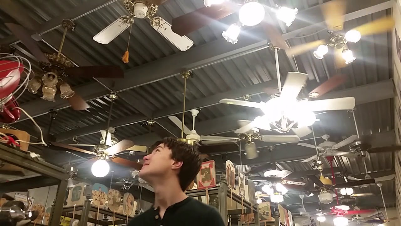 Fanimation Group Trip January 2018 Part 2 (Upstairs)