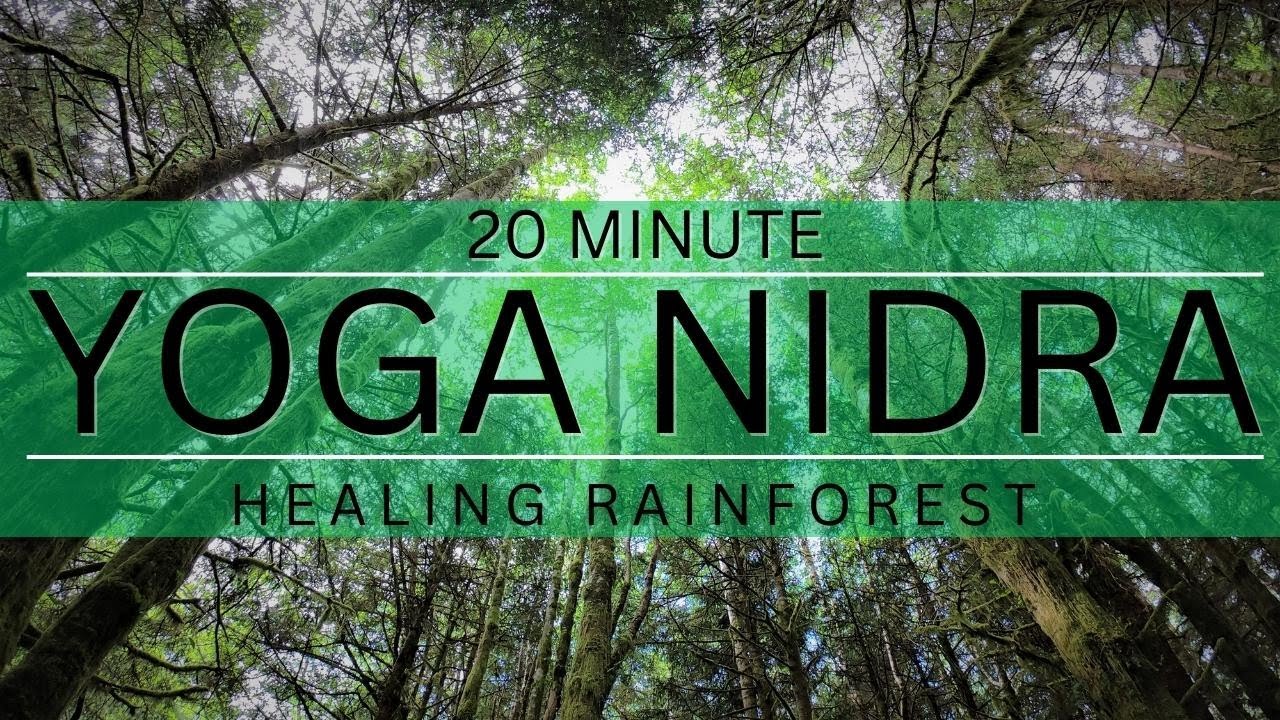 Healing Rainforest Yoga Nidra in Tofino  | YWM 643