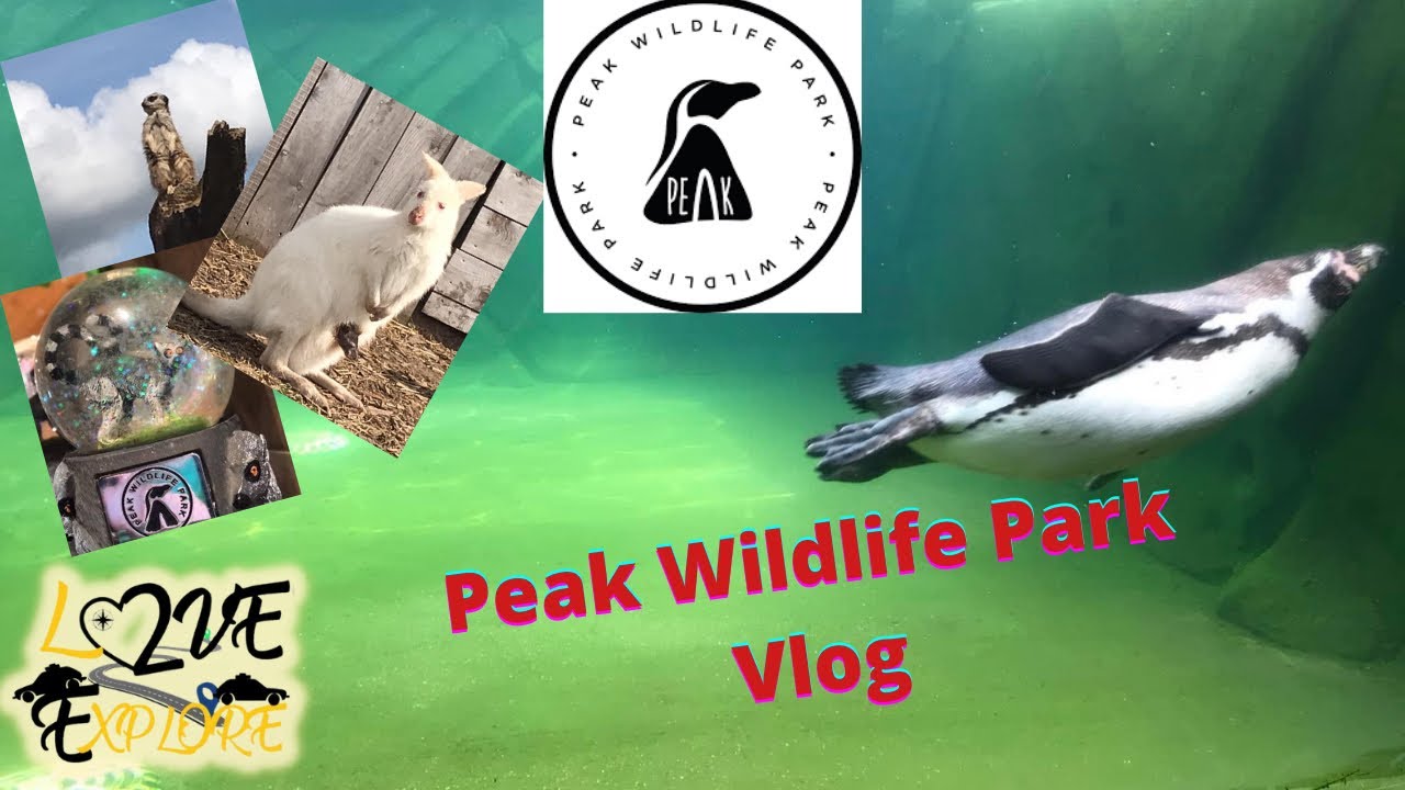 Peak Wildlife Park - Leek, Staffordshire