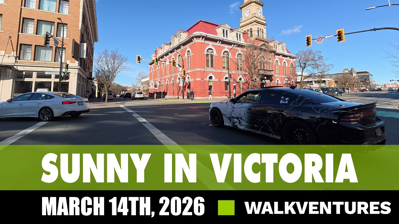 Bay Street to Inner Harbour 4K Walking Tour, Victoria BC | March 14th, 2026 [4K]