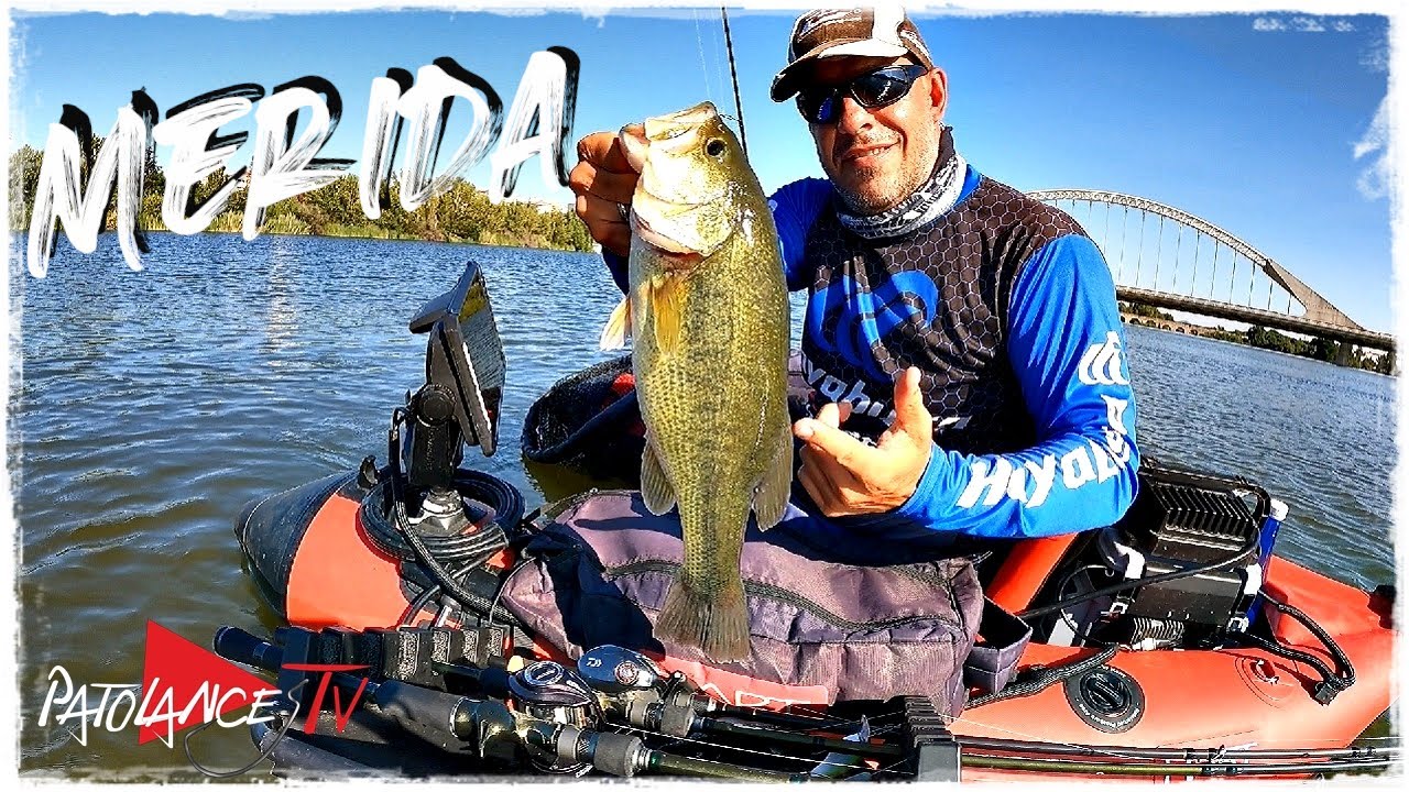 PESCO en MERIDA y ENCUENTRO los PECES  BUENOS