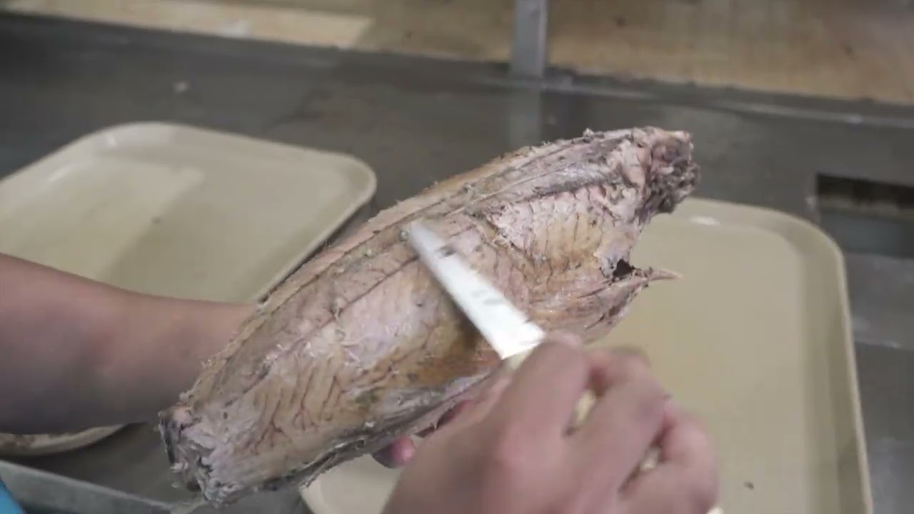 Video Institucional  - Salica del Ecuador