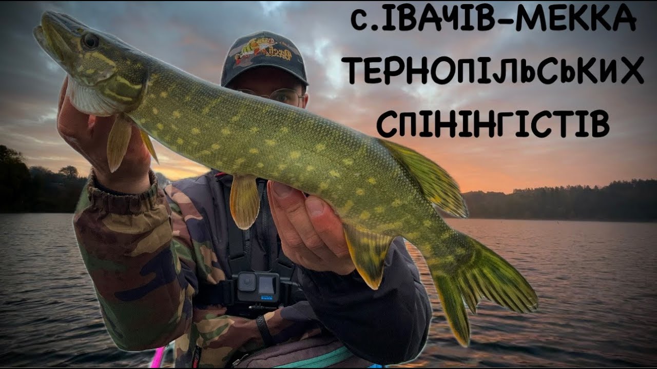 1000 і 1 КЛЮВАННЯ ЩУКИ В ІВАЧЕВІ|Flagman Stinger 74L