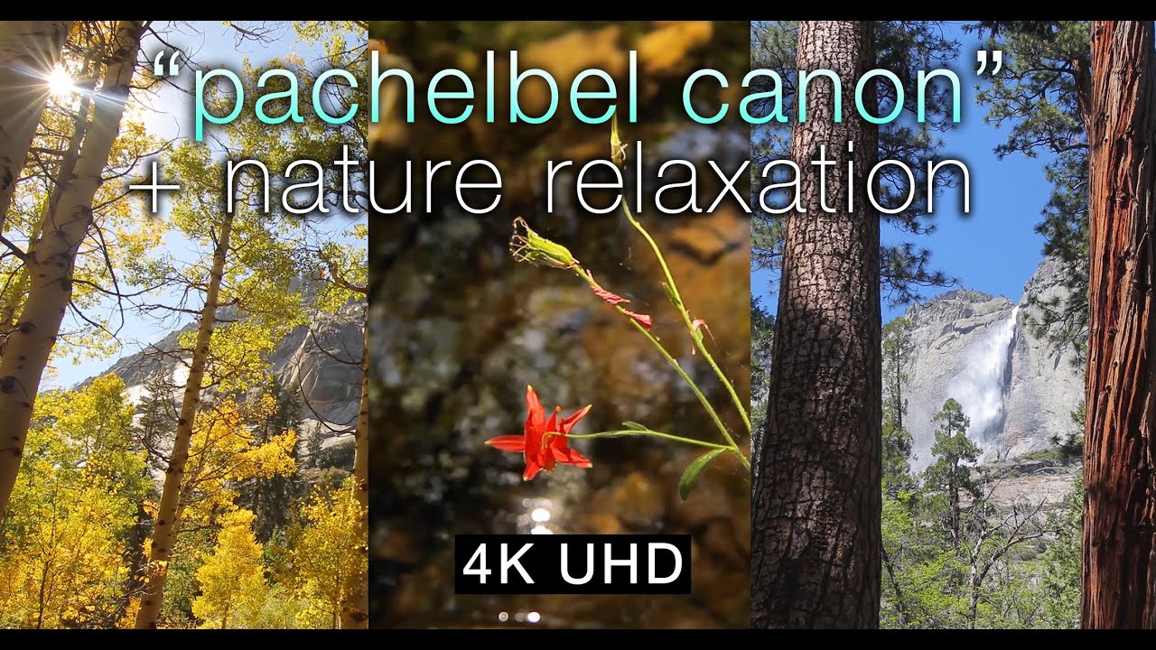 4K UHD Nature  + Pachelbel Canon: A Music Relaxation Video