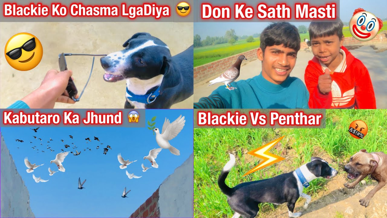blackie Ko chasma lga diya!!🥰🐶🕊️