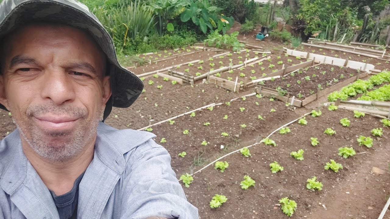 Plantando as mudas que faltou e aquele almoço bruto e matuto.
