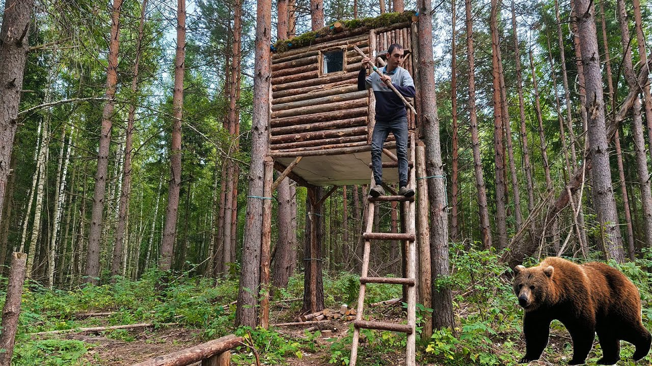Escaped from Bear Attack in a Tree House