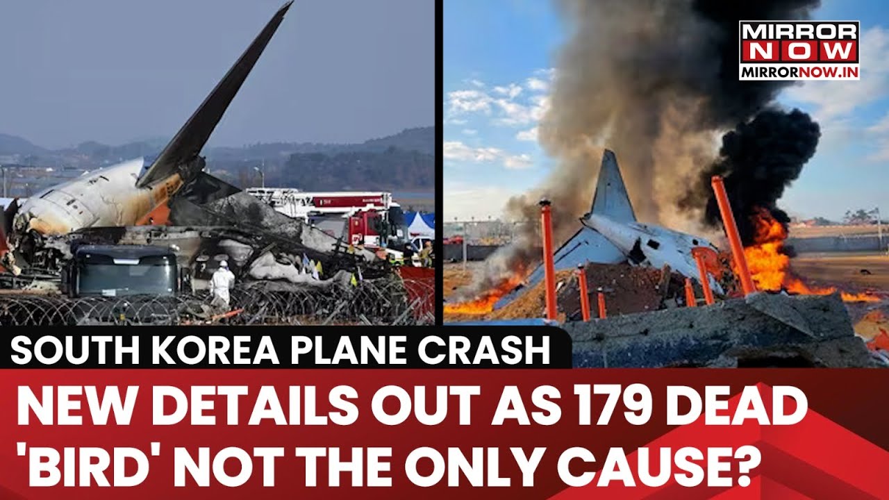 South Korea Plane Crash: Experts Say &lsquo;Bird Strike&rsquo; Can't Be Only Reason For The Terrible Incident