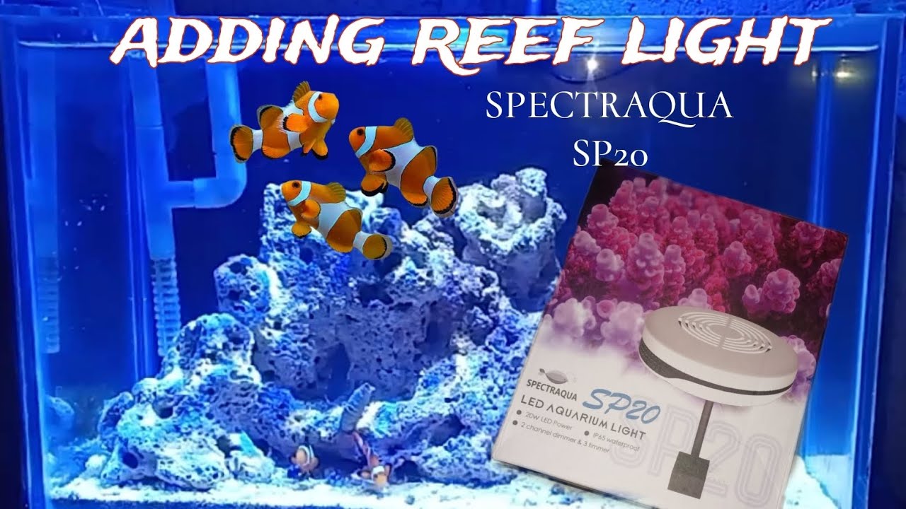 I just added Reef Light to my pico tank / SPECTRAQUA SP20