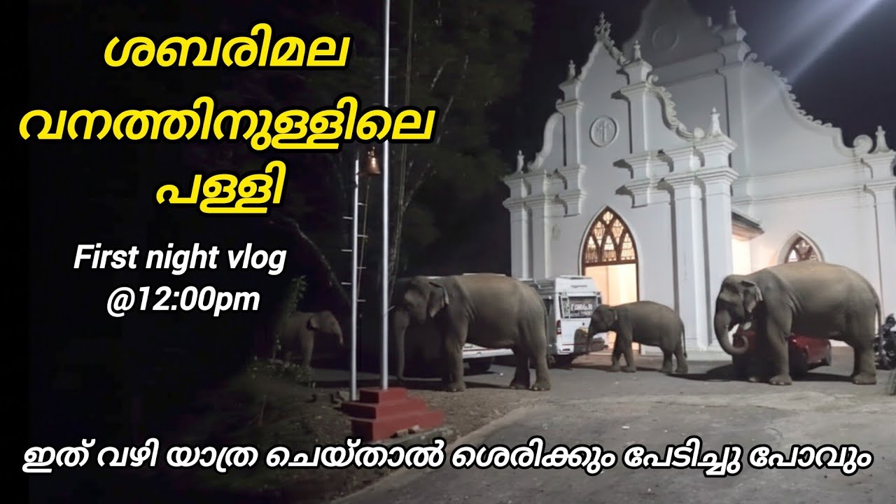 The church inside the Sabarimala forest in Kerala | NILAKKAL | Night drive | wild  | Travel vlog