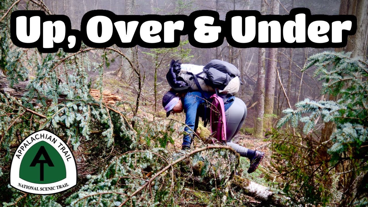 Hiking Through Blowdowns | Appalachian Trail Thru-Hike 2025