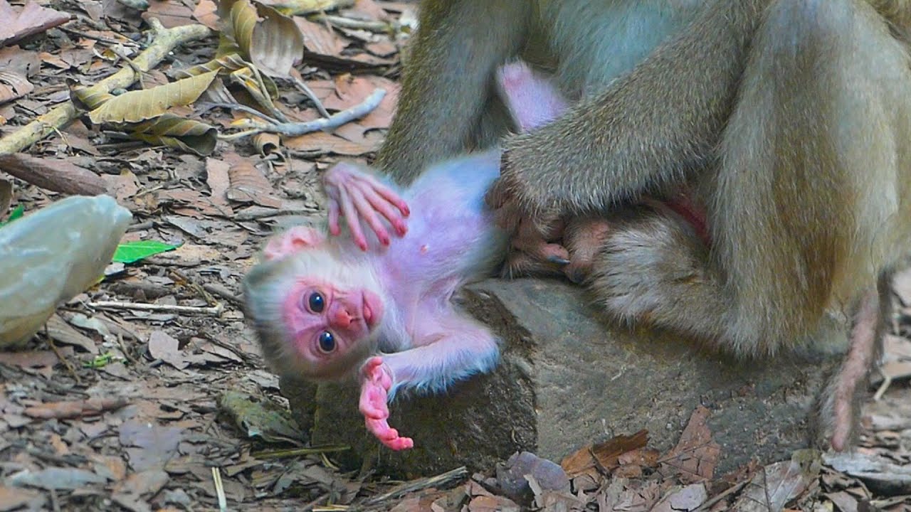 Joyce, the mother of newborn Jacee, leaves her on the stone because she is exhausted