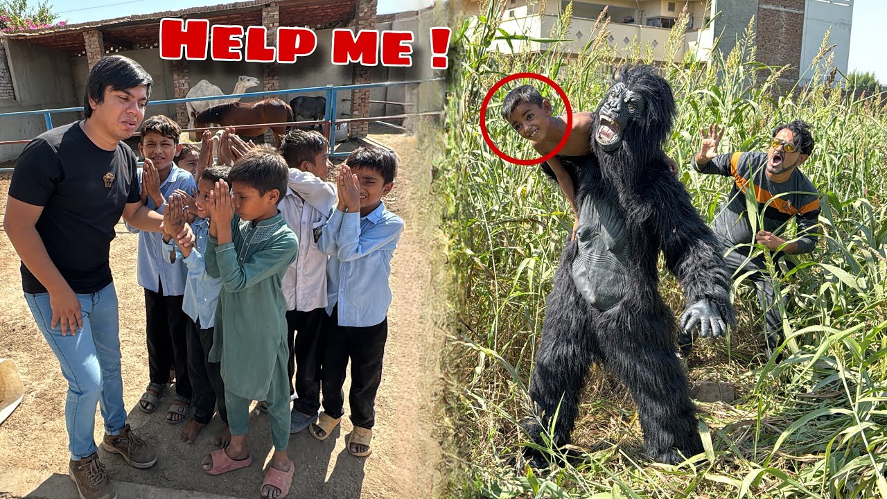 Village Me Gorilla Agea 😰 Bacha Ko Pakar Lea 😢