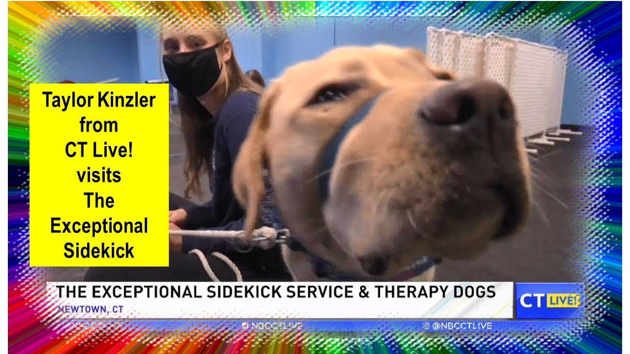 CT LIVE! Visits The Exceptional Sidekick Service Dogs with Taylor Kinzler