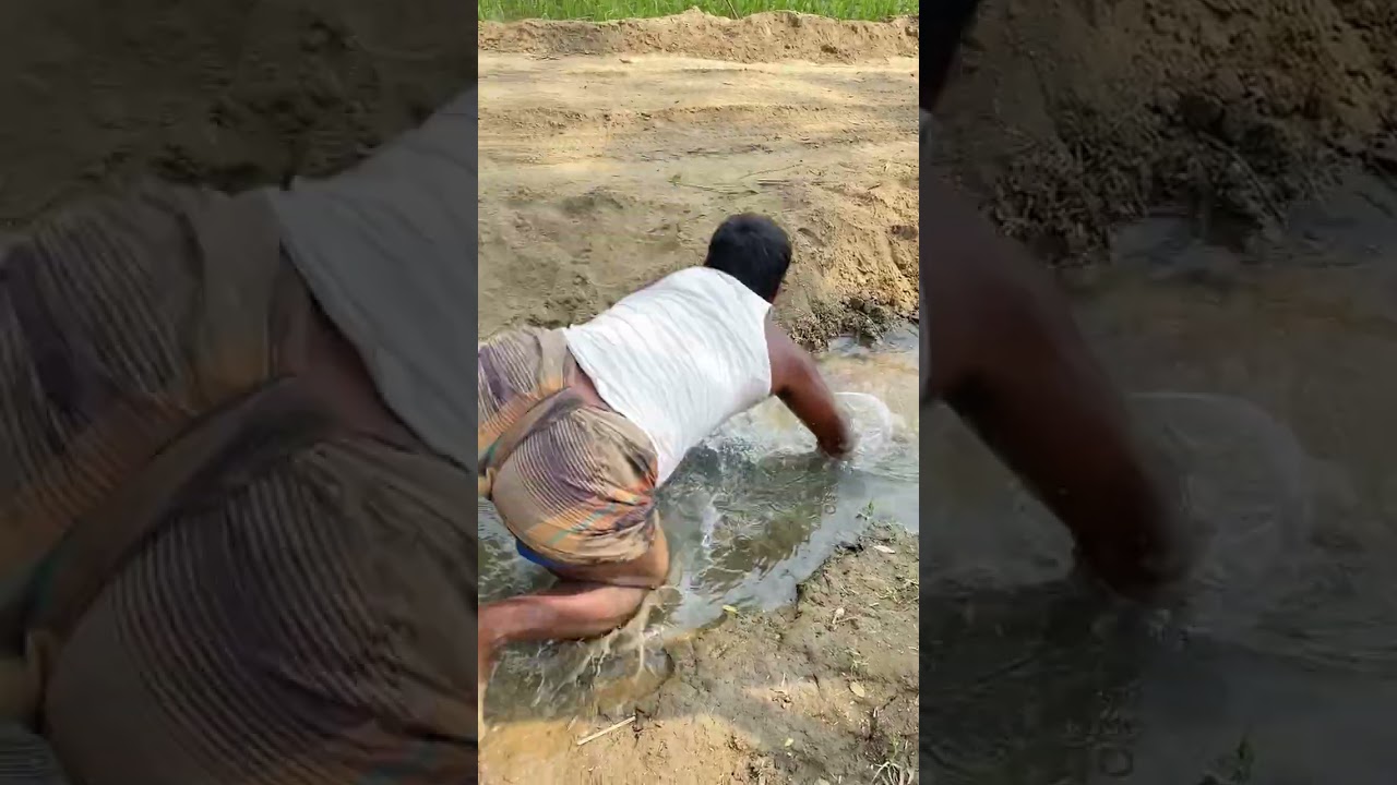 মাছের ভিডিও দেখেন🐠🐟