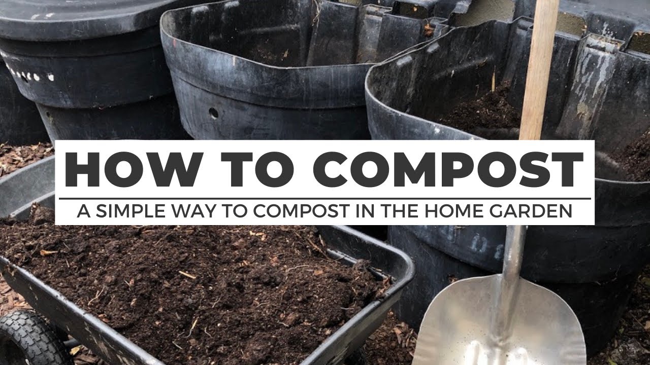 HOW TO COMPOST: A Simple Way to Compost in the Home Garden