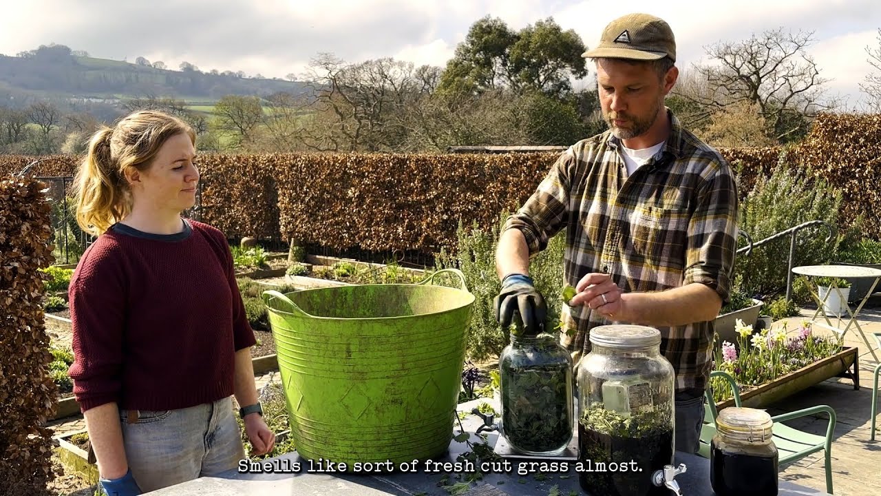 Homemade Nettle Fertiliser