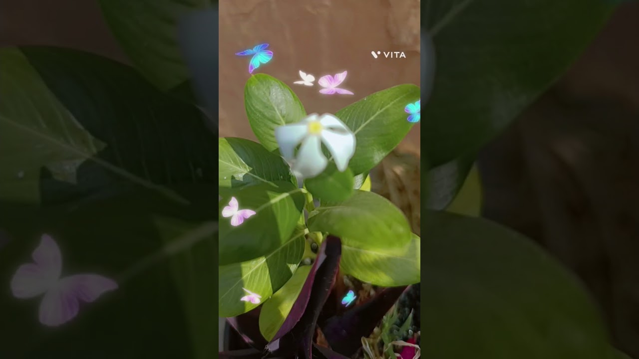 OLD IS GOLD - पुराने सुनहरे गीत | Bollywood hit song | sadabahar Hindi Nonstop song | Evergreen Song