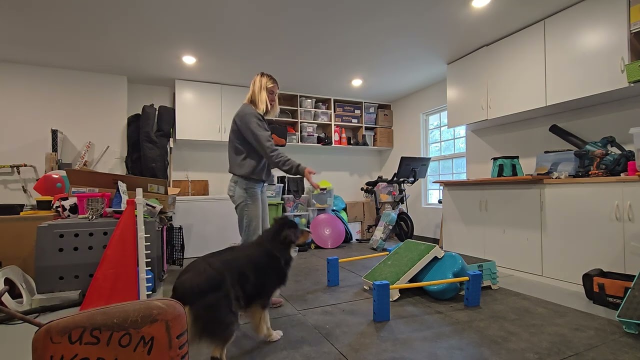 Year of Fitness  - Porter - Week 5