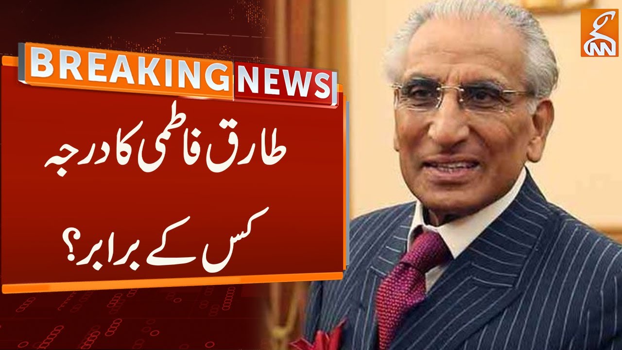 PM Shehbaz Appoints Tariq Fatemi As Special Assistant | Breaking News | GNN