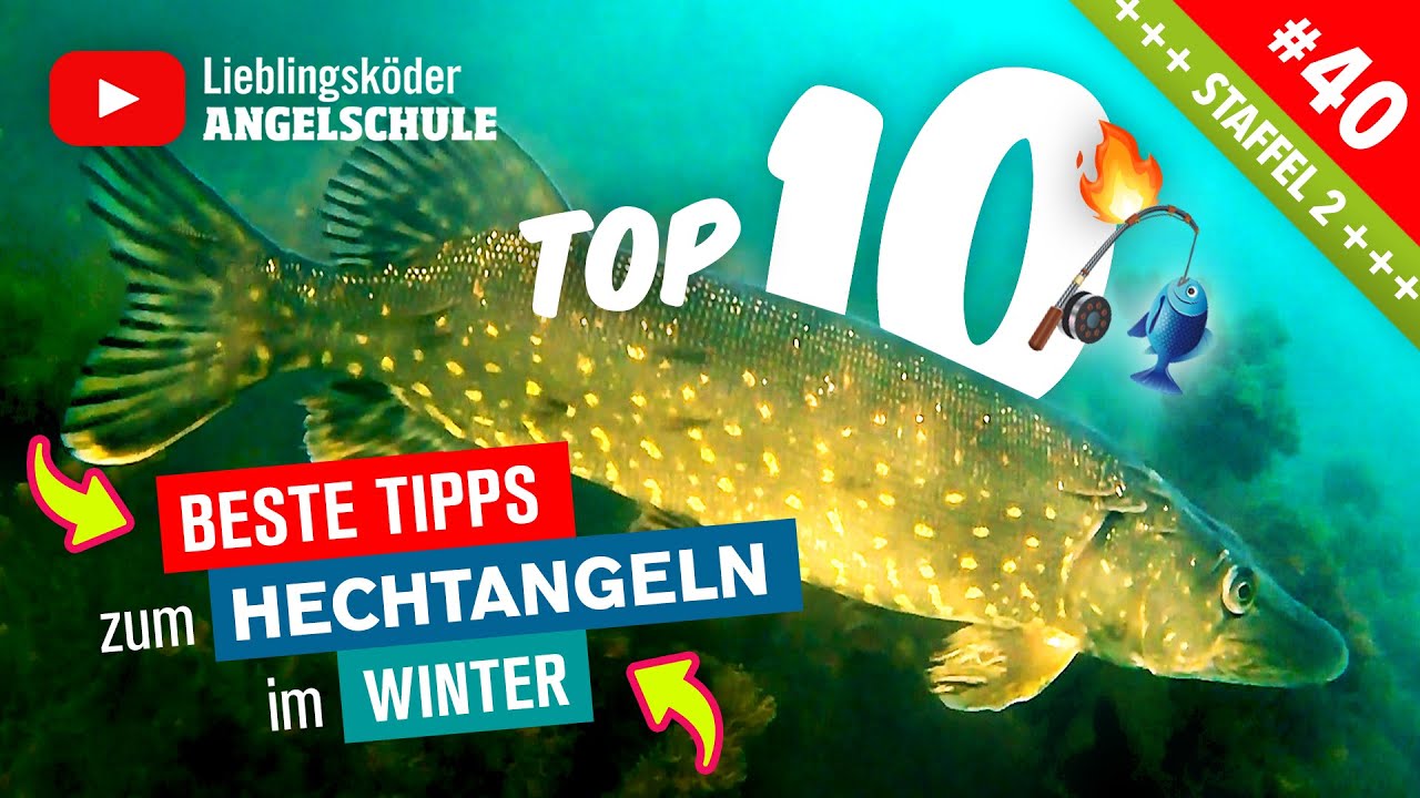 10 Tipps zum HECHTANGELN im Winter 😍 🎣 🔥