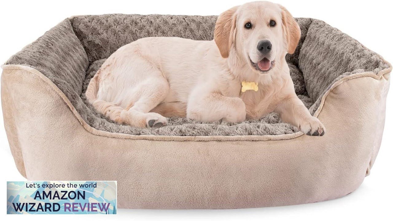 JOEJOY Rectangle Dog Bed for Large Medium Small Dogs Machine Washable Sleeping Review