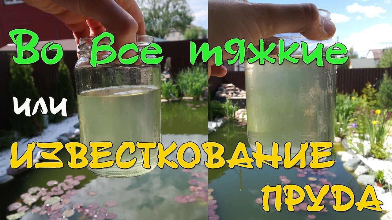 ВО ВСЕ ТЯЖКИЕ или ИЗВЕСТКОВАНИЕ ПРУДА для очистки воды: методика и результаты