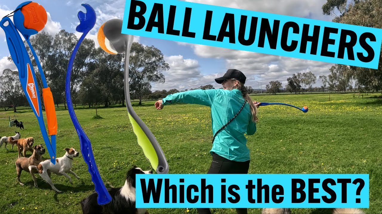 Dog BALL Launchers | Which is the Best? We Test Six Different Throwers | Dog Daycare TV