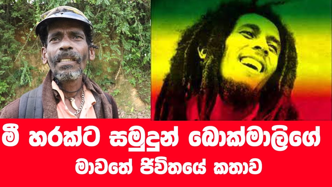 මිහරකාගෙන් වෙනු වු ජිවිතය මහ මගට