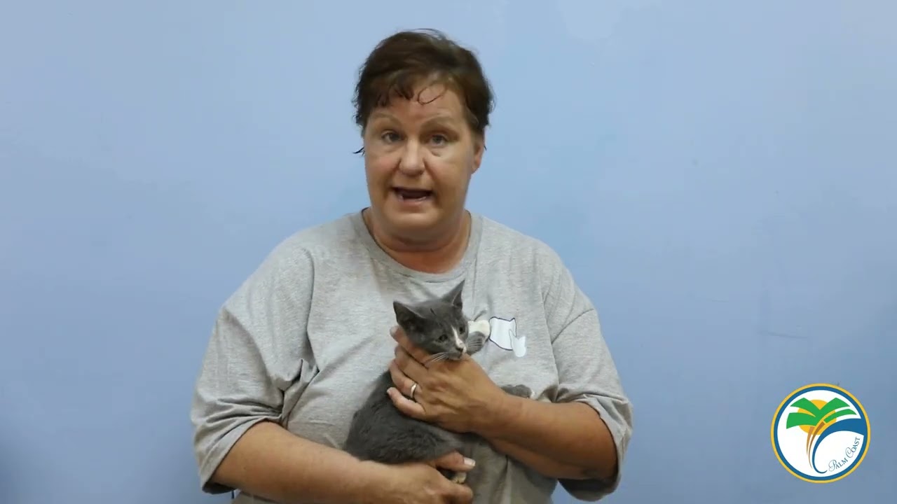 Tails of the City - Community Cats of Palm Coast