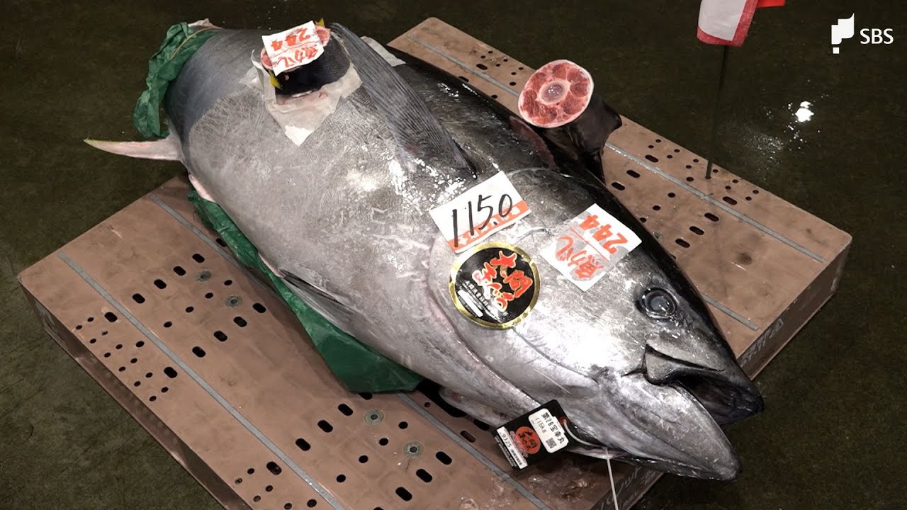 「すごくいいマグロ」沼津魚市場で初競り まちも始動 多くの企業・官公庁で仕事始め =静岡