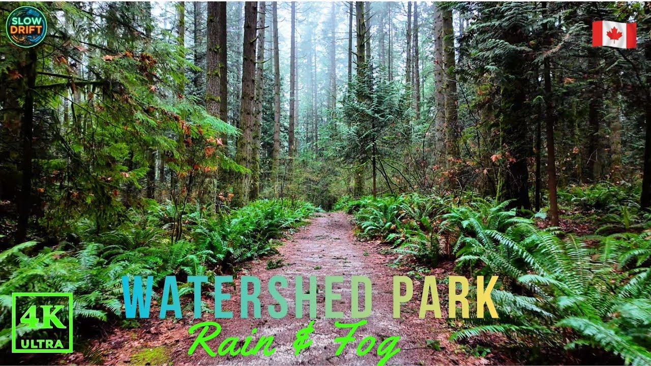 Cold Rain Walking Tour 🌧️ | Peaceful 4K Walk for Relaxation & Focus