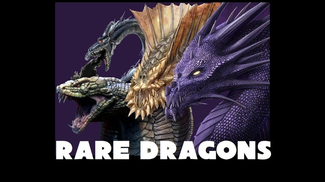 Dungeons and Dragons Lore: Drow, Sand, Purple and Cobra Dragons