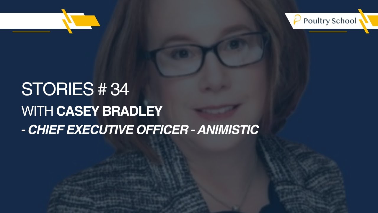 Stories #34 With Casey Bradley