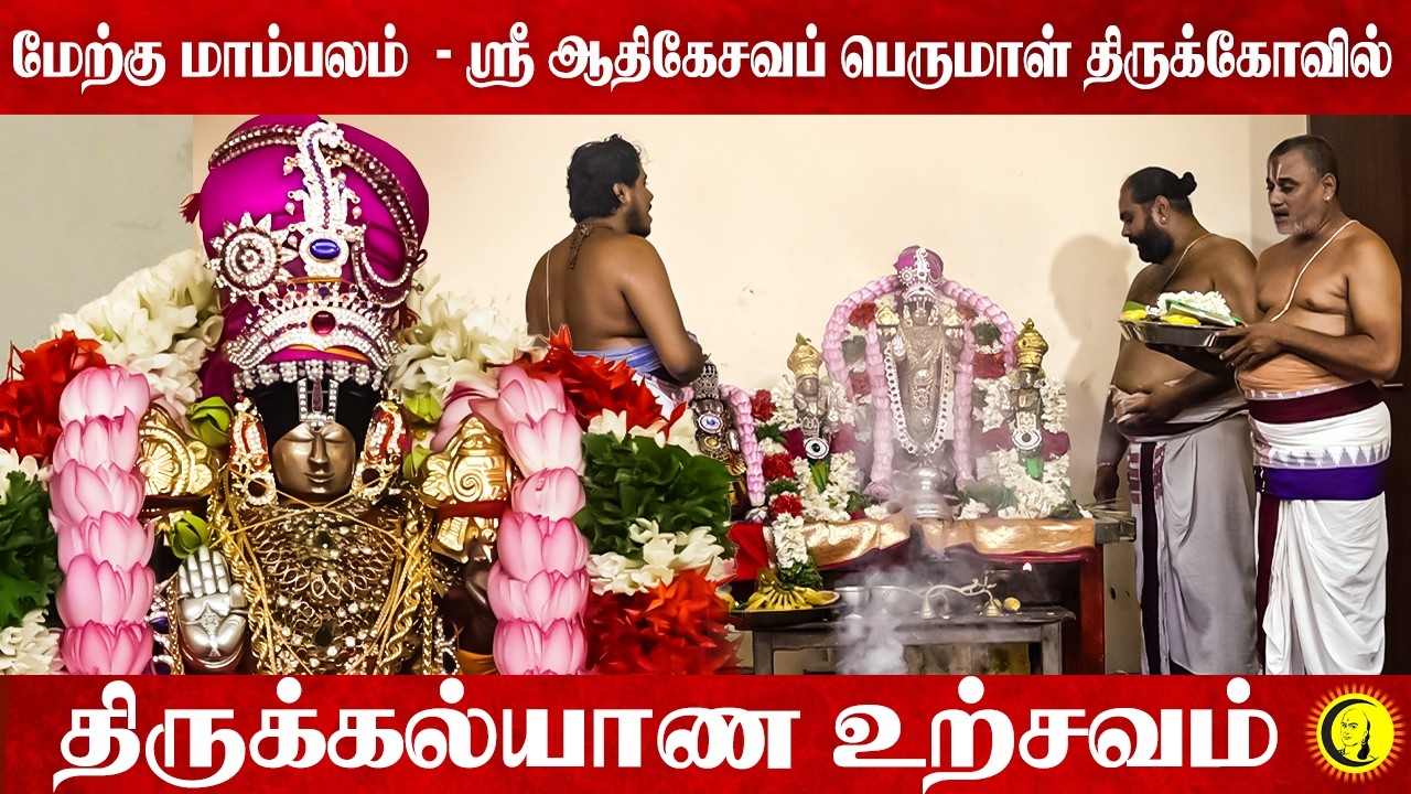 மேற்கு மாம்பலம் -  ஸ்ரீ ஆதிகேசவப் பெருமாள் திருக்கோவில் திருக்கல்யாண உற்சவம்