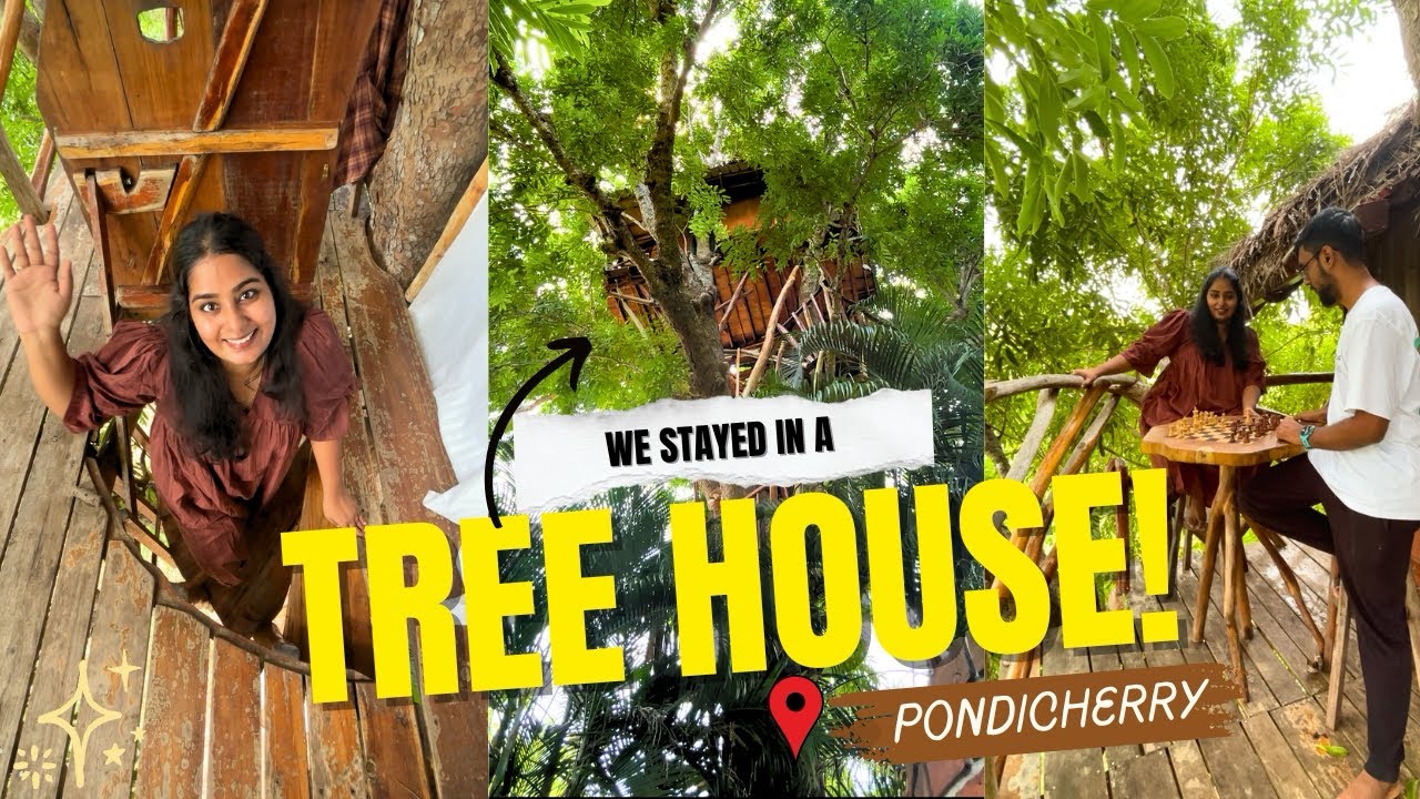 Auroville Hidden Gem | Bday ku Treehouse la stay pannom 😁❤️ This was WILD! 