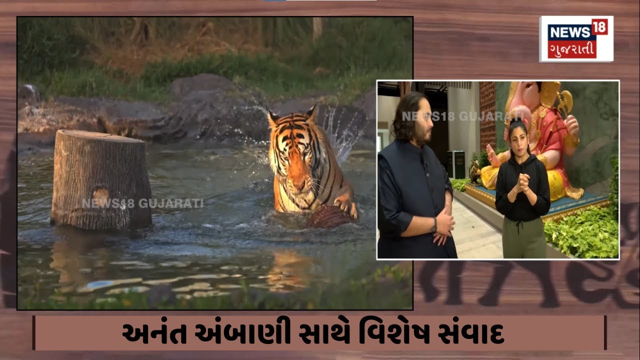 Jamnagar News : અનંત અંબાણી સાથે વિશેષ સંવાદ | Anant Ambani | Vantara | Guajrati Samachar | N18V