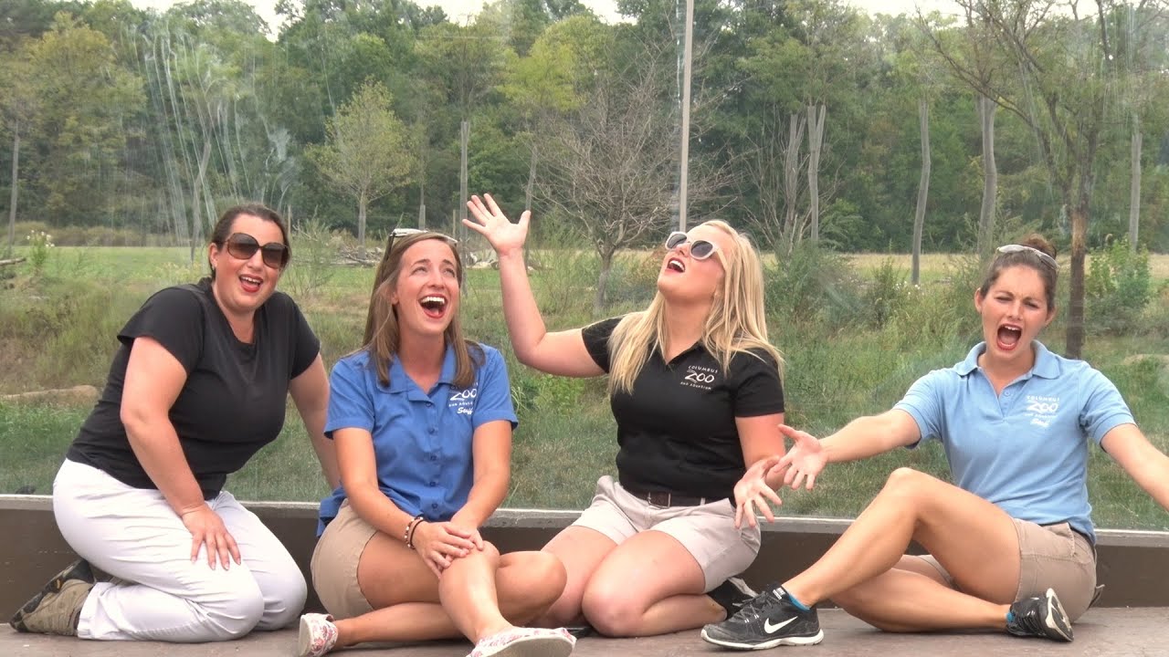 Columbus Zoo - Wildest Dreams