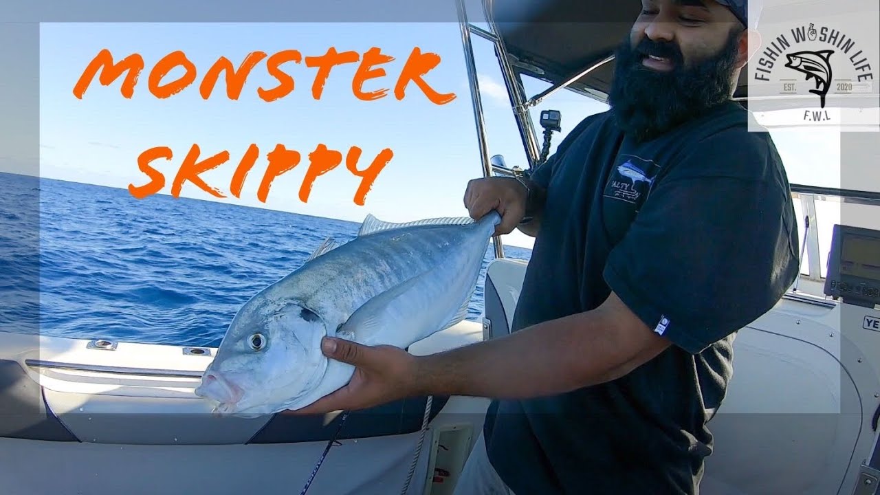 EP 39 | ROTTNEST ISLAND MONSTER SKIPPY and the SHARKS come to PLAY in 100m