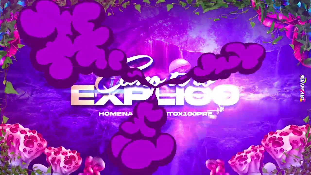 COMO TE LO EXPLICO VOL.2 