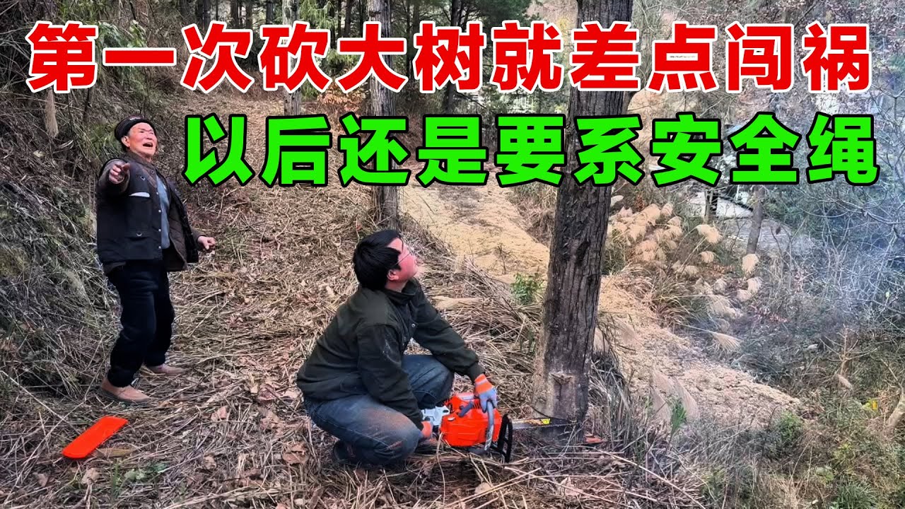 第一次砍大树就差点闯祸，把爷爷吓坏了，以后还是要系安全绳更稳妥