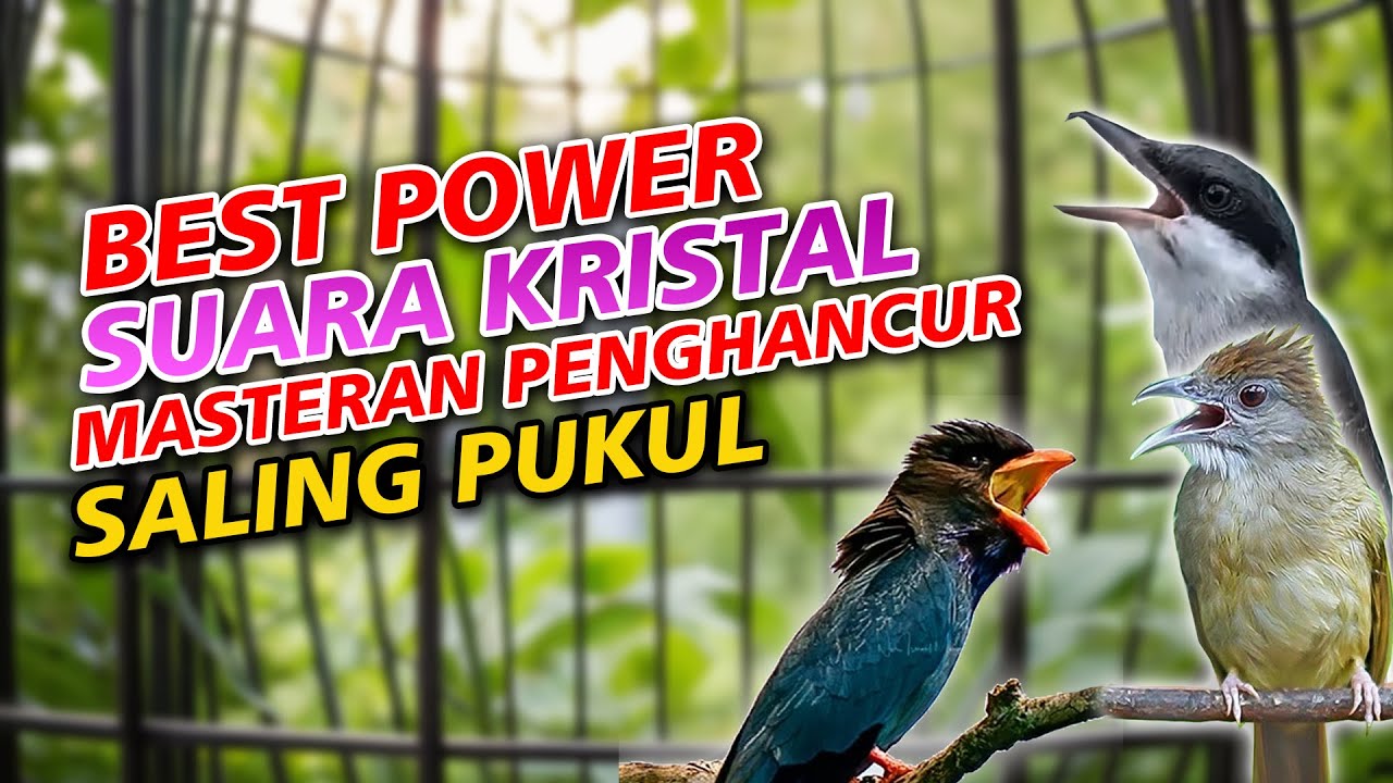 MASTERAN JINGJING PETULAK KAPAS TEMBAK TENGKEK BUTO POWER KRISTAL MESIN JAHIT AMPUH